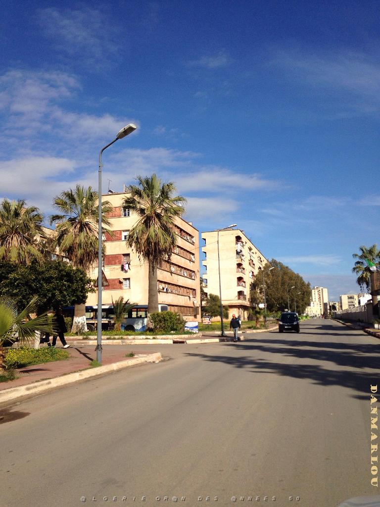 ORAN HLM de Gambetta 2.jpg